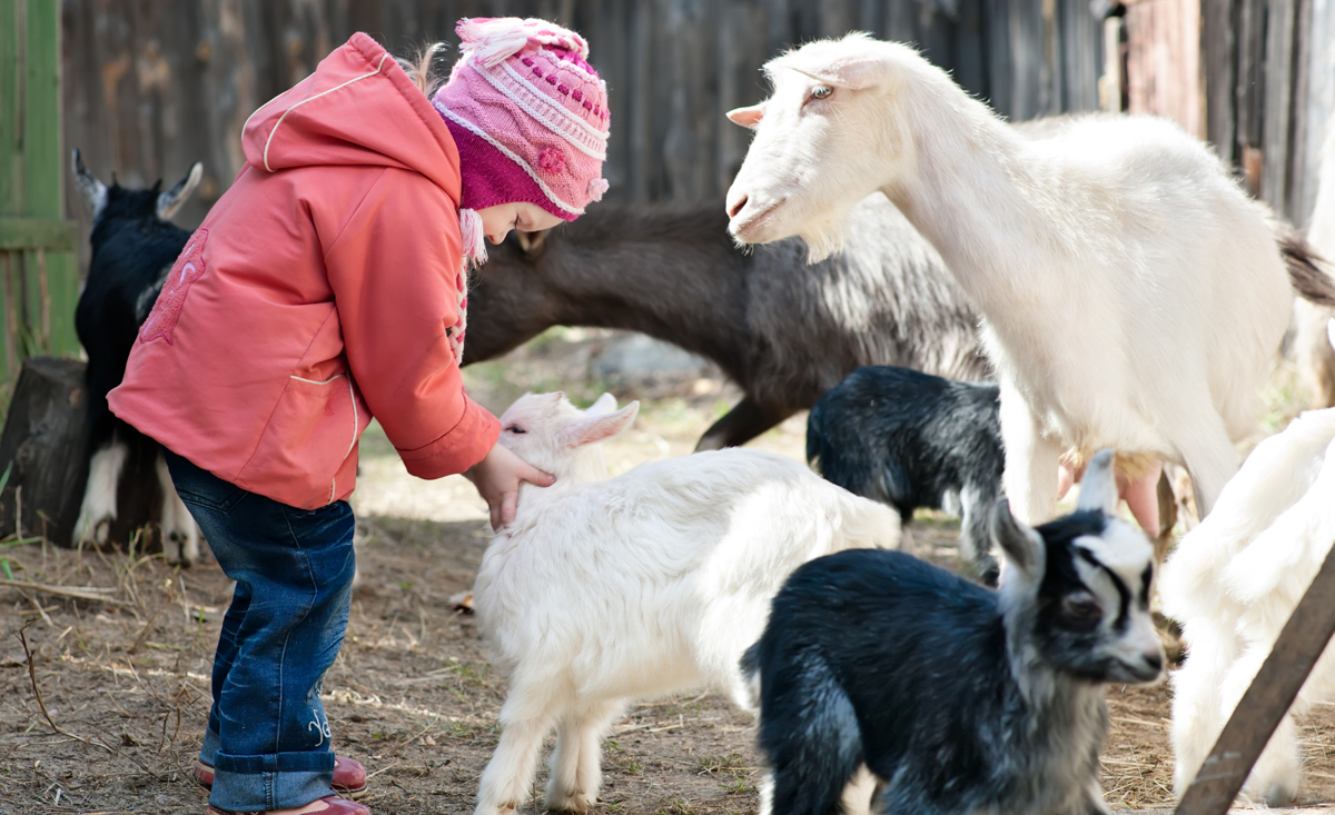Urlaub am Bauernhof - Familienurlaub mit Tieren